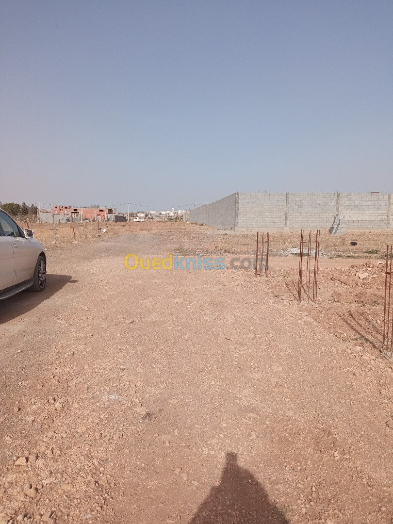 Vente Terrain Sétif Ain arnat