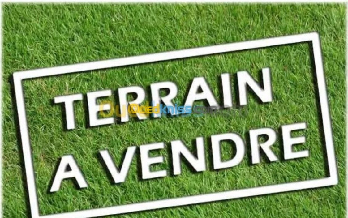 Vente Terrain Alger Ain naadja