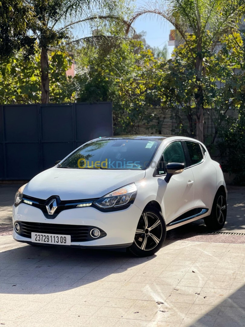 Renault Clio 3 2013 Exception