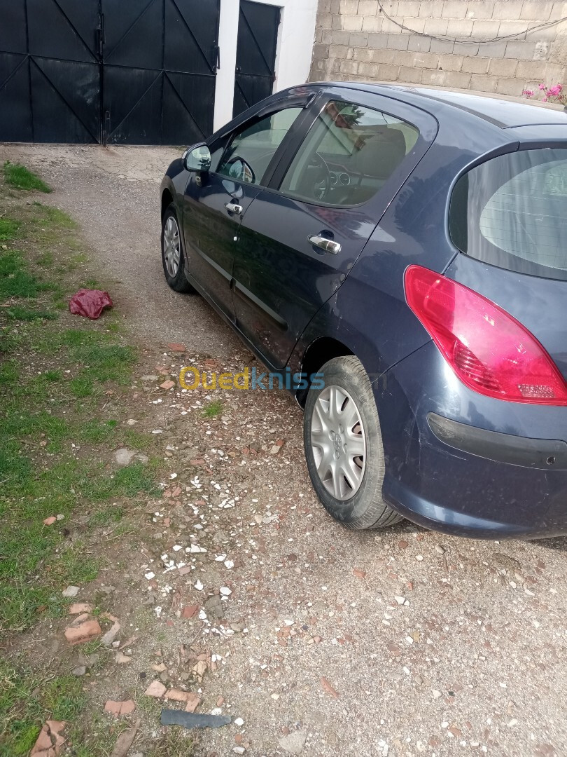 Peugeot 308 2008 Platinum 