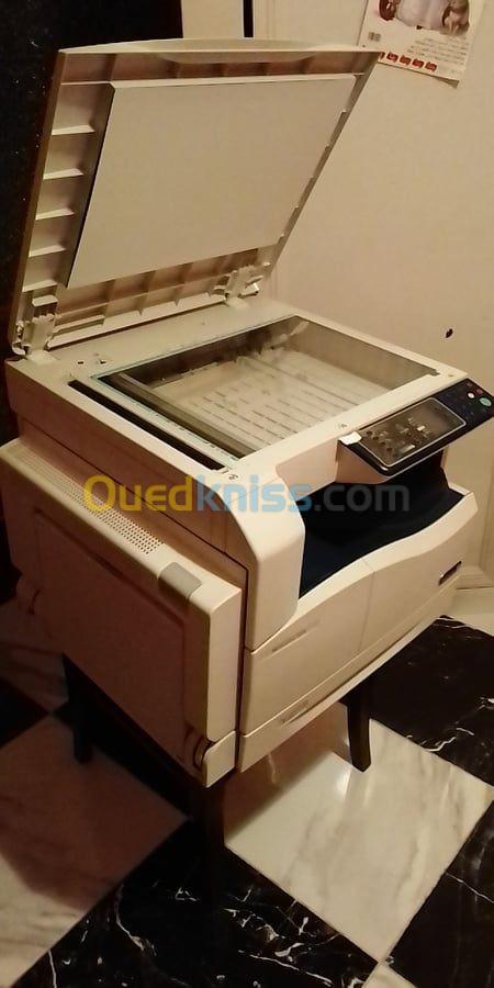 Imprimante Xerox Workcenter 5019