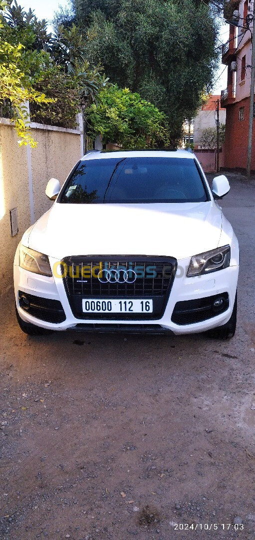 Audi Q5 2012 Sliene