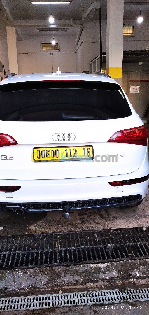 Audi Q5 2012 Sliene