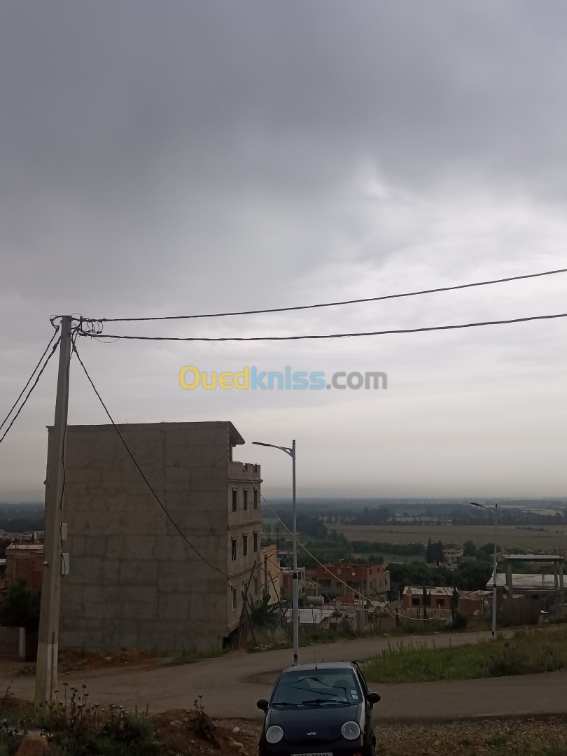 Vente Terrain Blida Bouinan