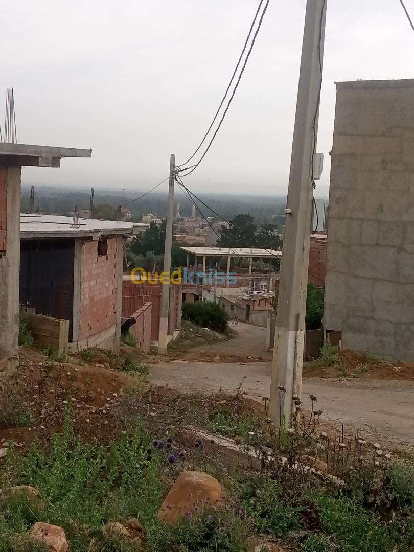 Vente Terrain Blida Bouinan