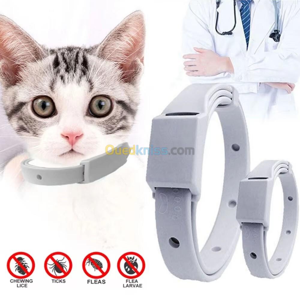 Collier anti-puces pour animaux de compagnie, anti-tiques pour chat et petit chien, antiparasitaire