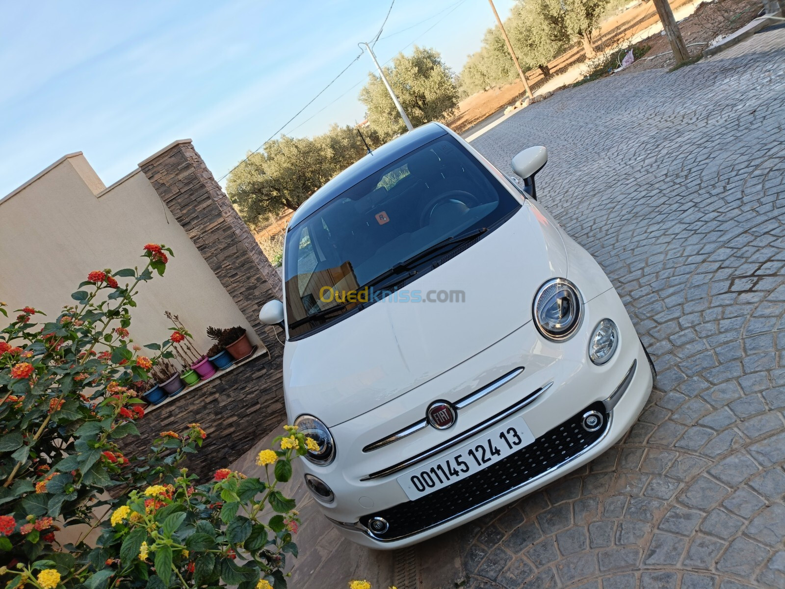 Fiat 500 2024 Club