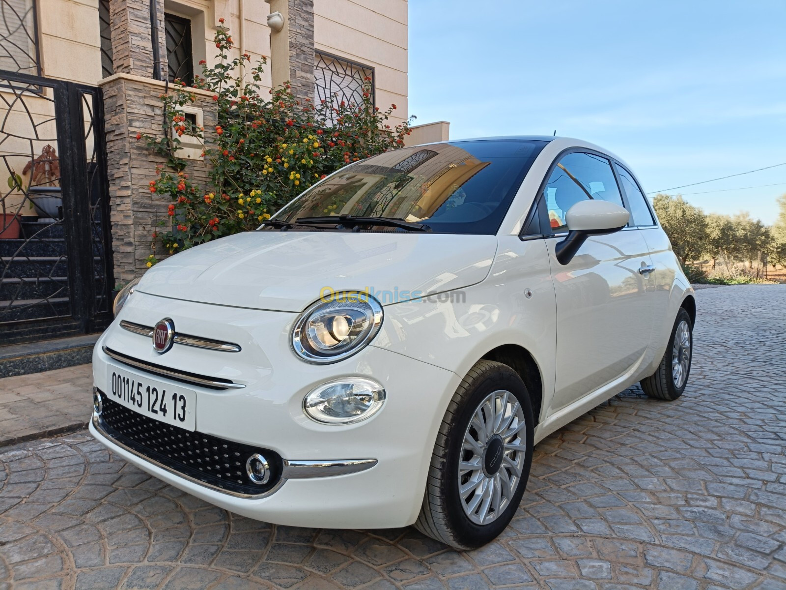 Fiat 500 2024 Club