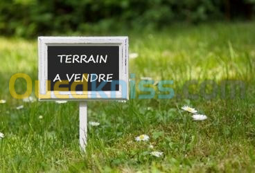 Vente Terrain Tizi Ouzou Draa el mizan