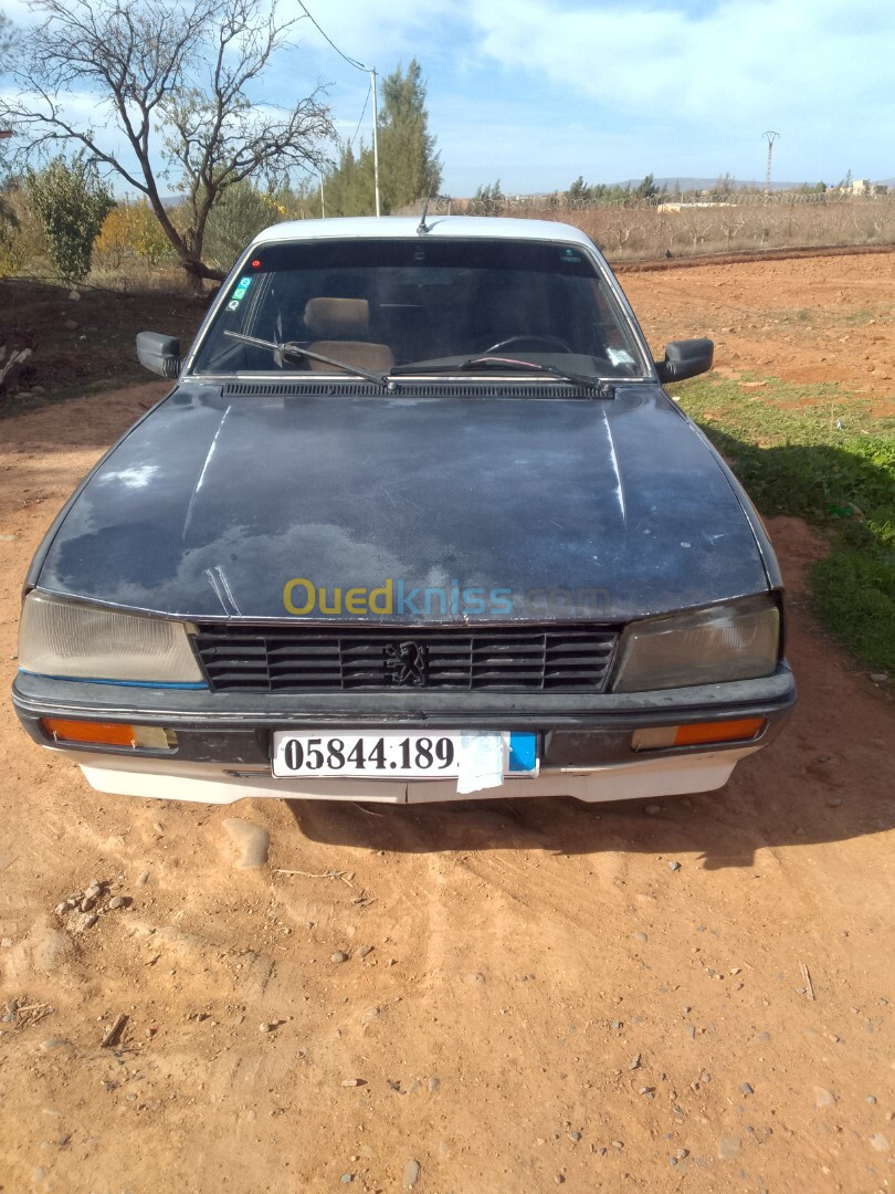 Peugeot 505 1989 