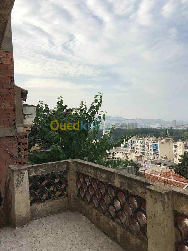 Vente Terrain Alger El madania