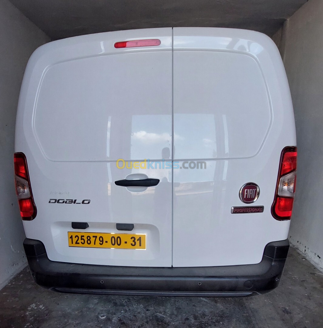 Fiat Doblo 2024 Professionnel