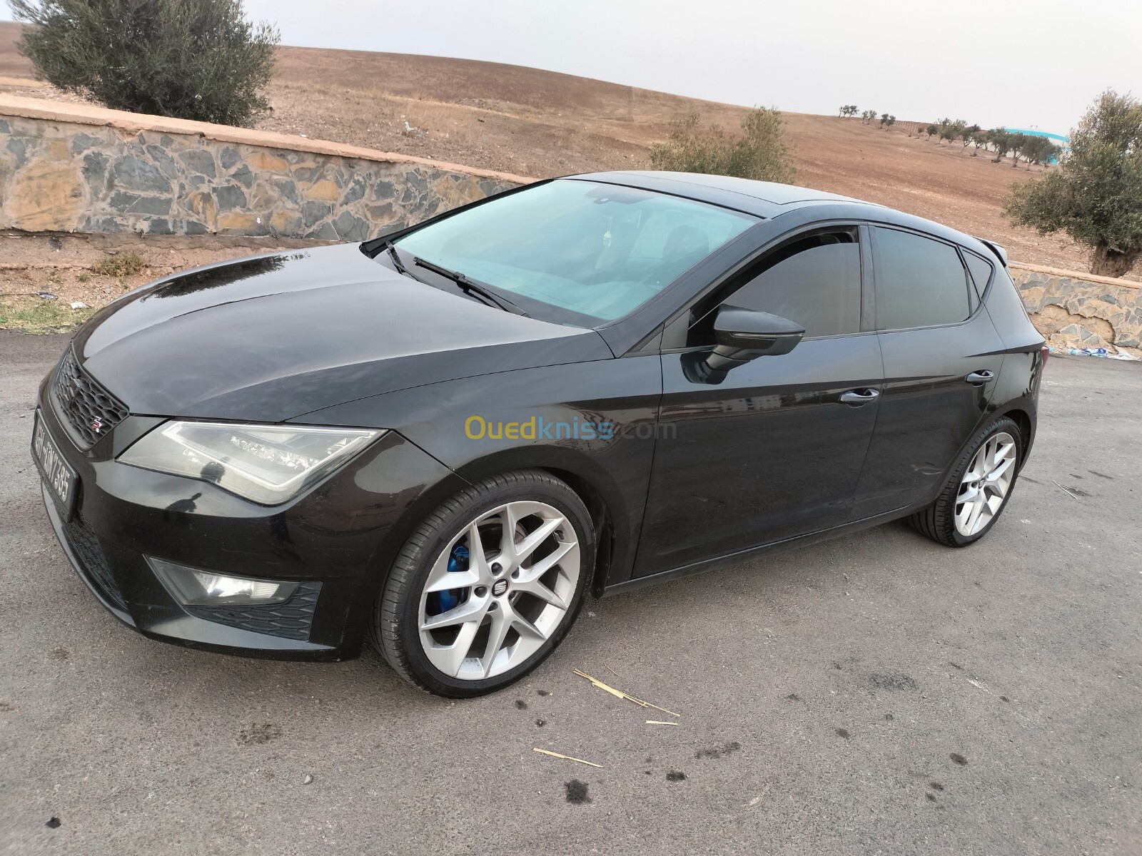 Seat Leon 2014 Leon