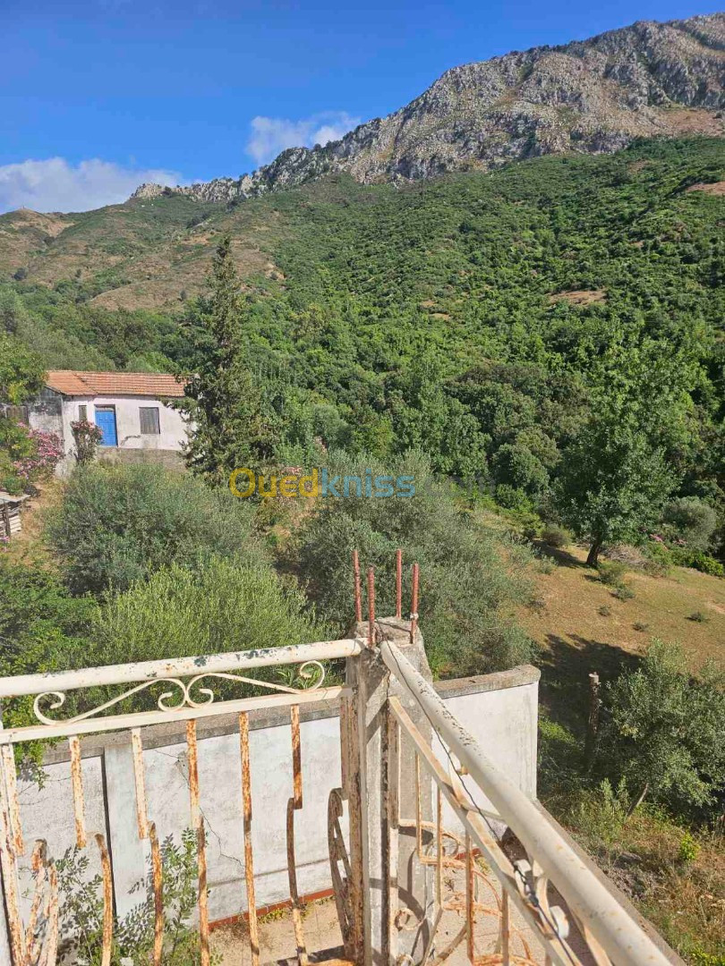 Location Niveau De Villa F3 Jijel El aouana