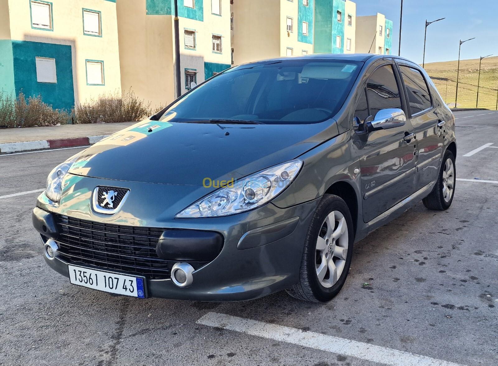 Peugeot 307 2007 Oxygo