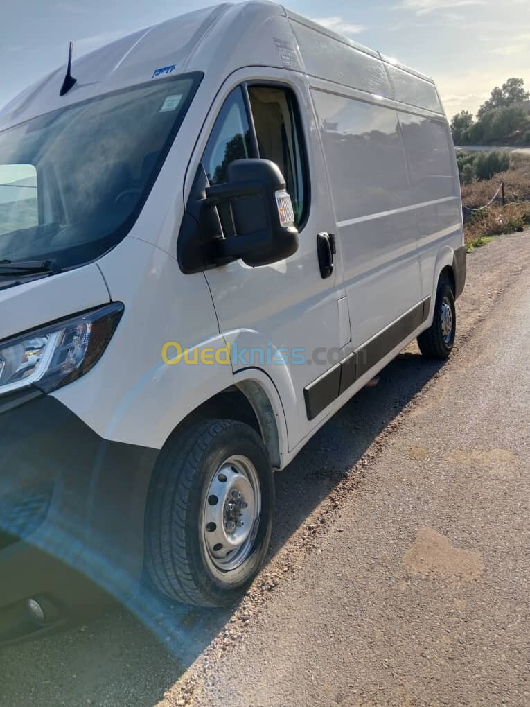 ducato Fiat 2024