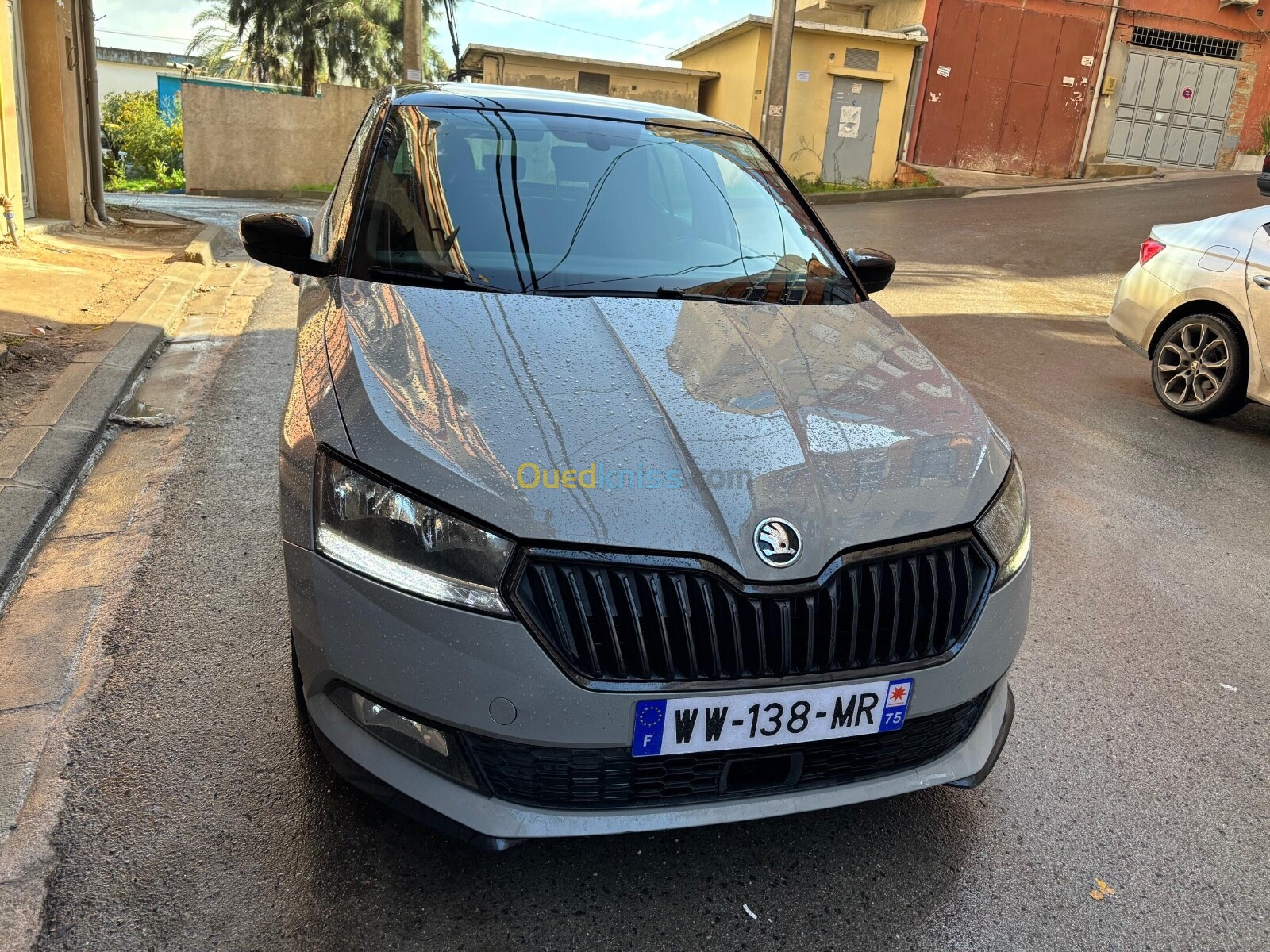 Skoda Fabia 2021 Monte Carlo