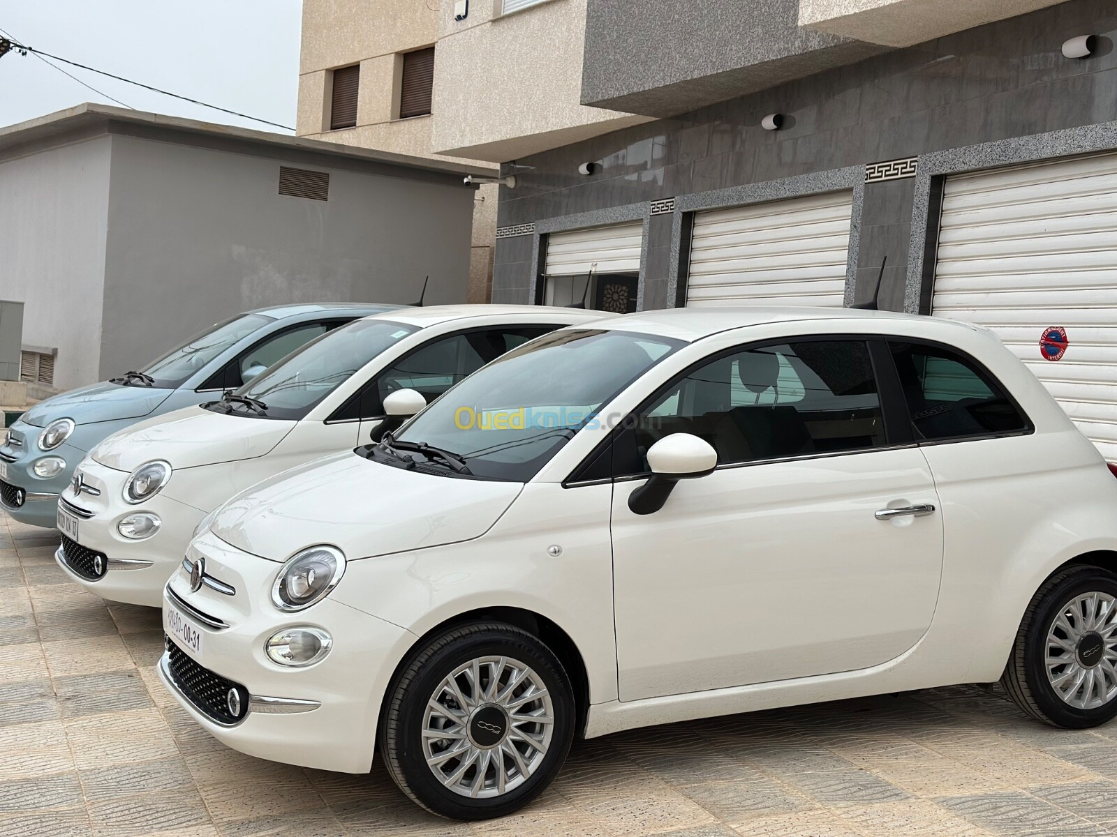 Fiat 500 2024 Club