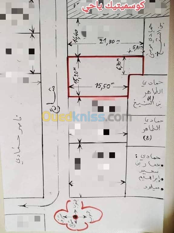 Vente Terrain Msila Ain khadra