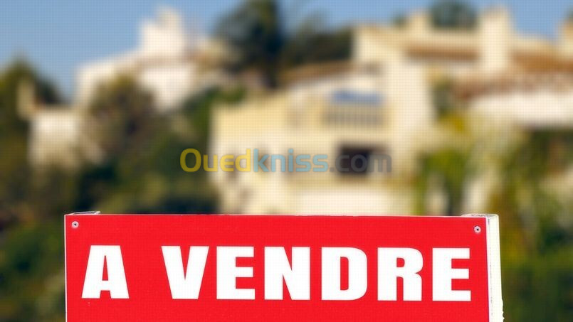 Vente Villa Blida Blida