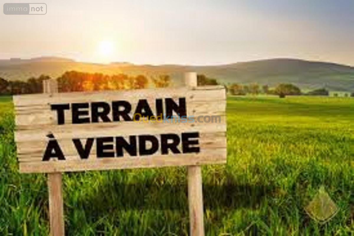 Vente Terrain Alger Ain benian