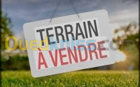 Vente Terrain Alger Douera