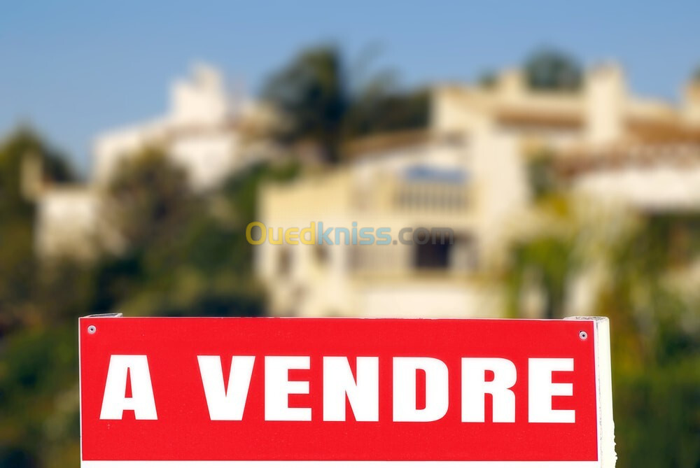 Vente Villa Alger Draria