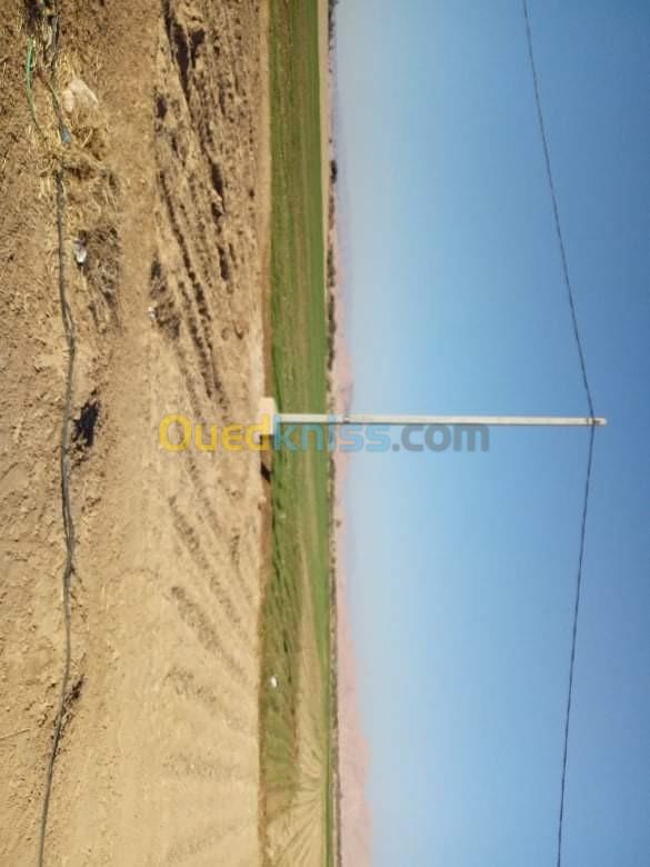 Vente Terrain Agricole Biskra Sidi okba