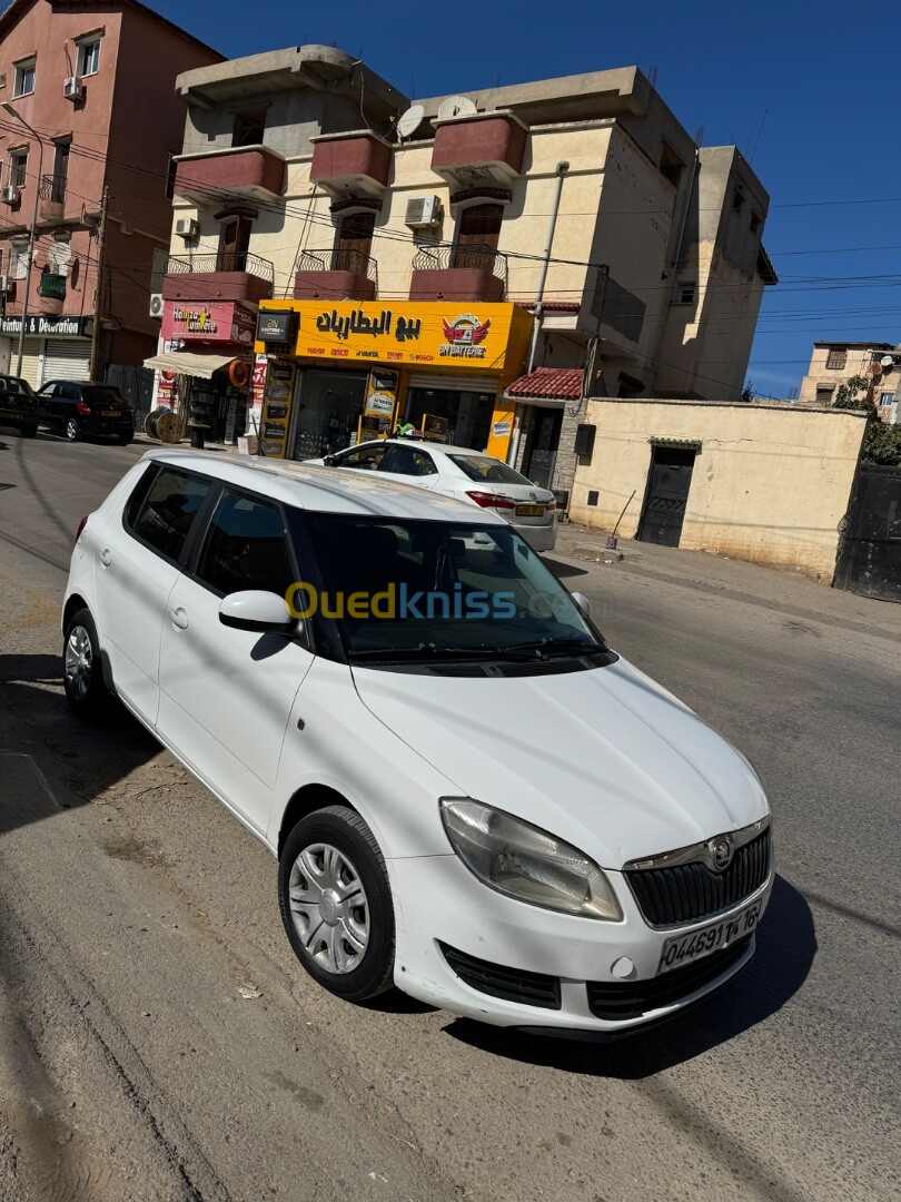 Skoda Fabia 2014 Visage