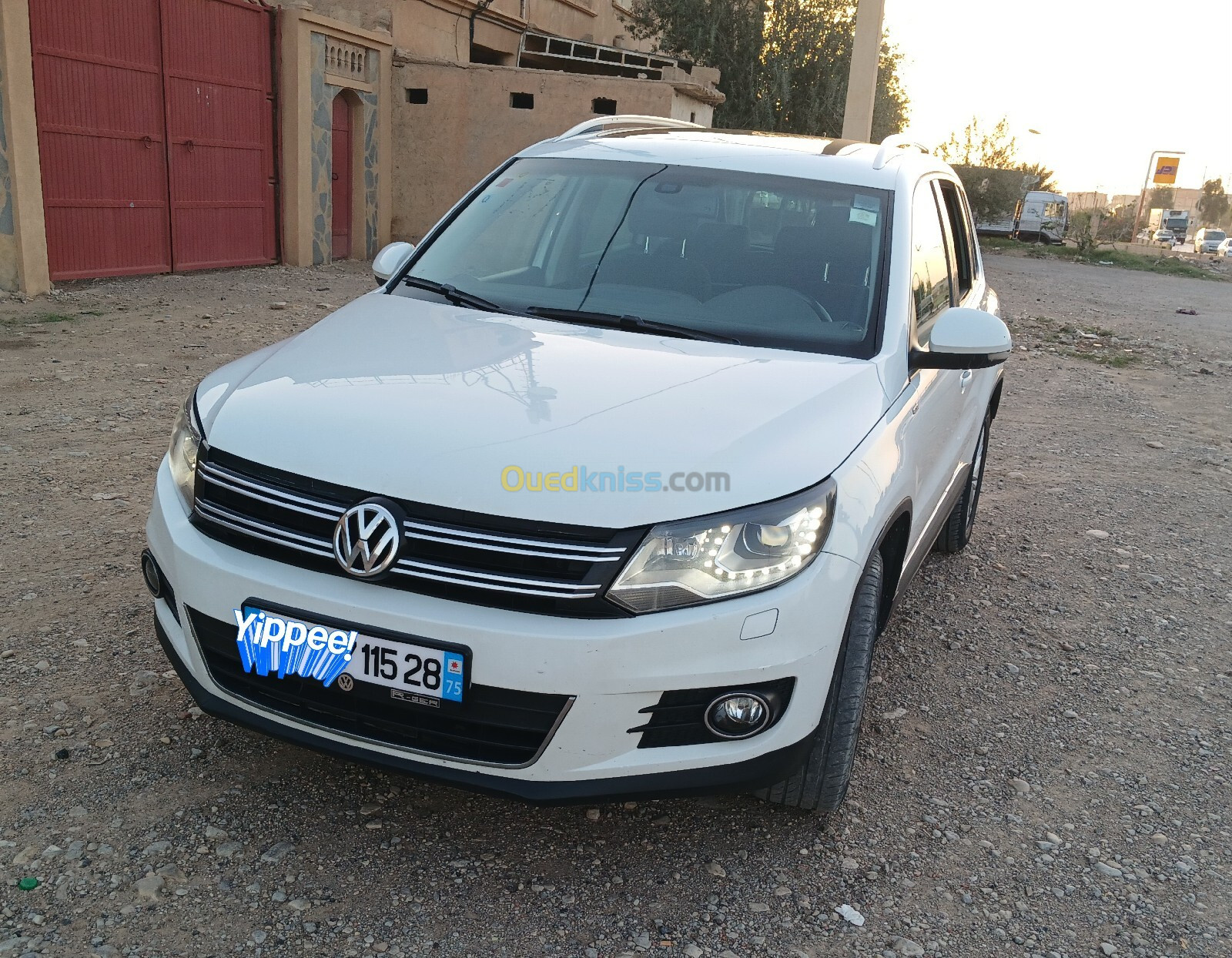 Volkswagen Tiguan 2015 Cup