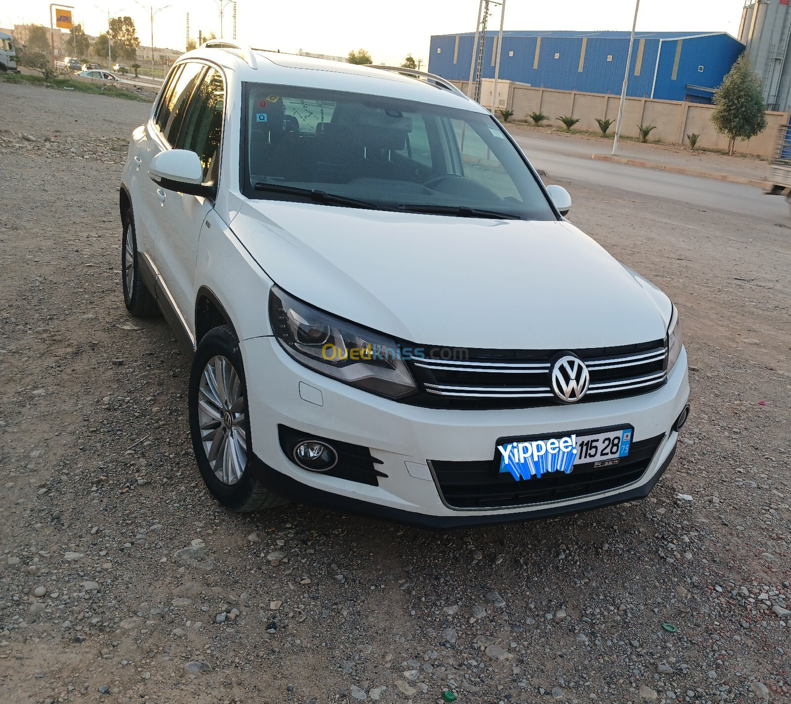 Volkswagen Tiguan 2015 Cup