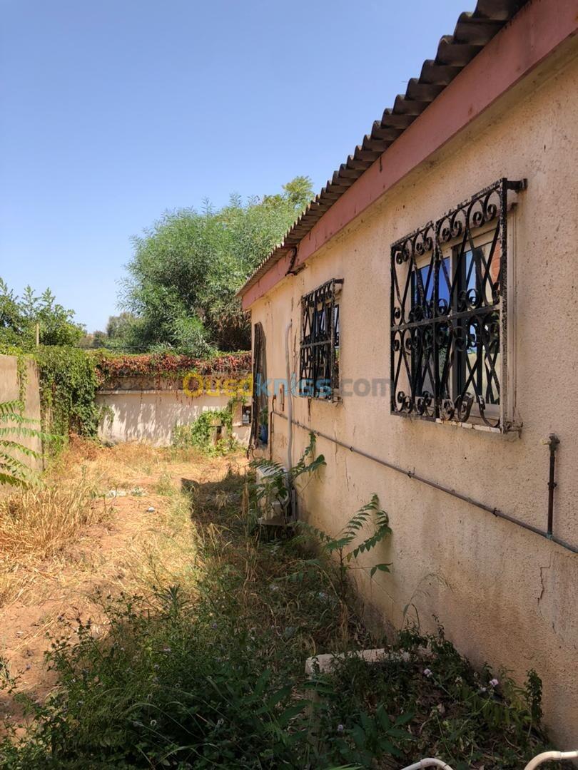 Location Bungalow Skikda Skikda