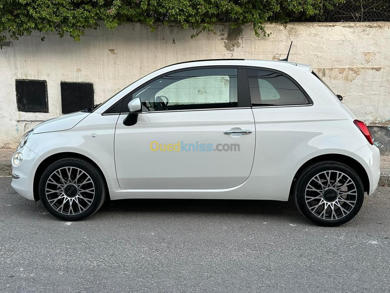 Fiat 500 2024 500