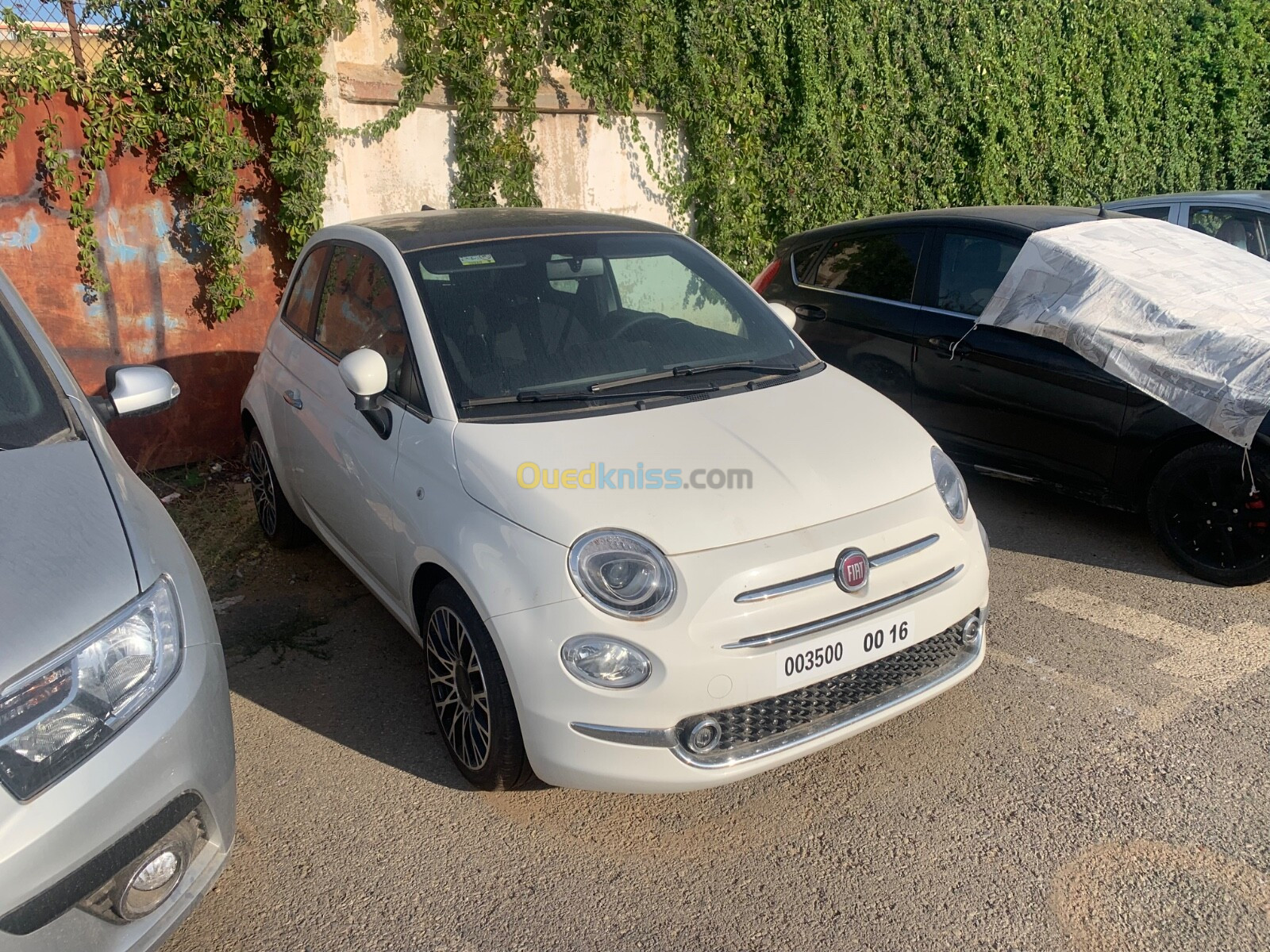 Fiat 500 2024 500