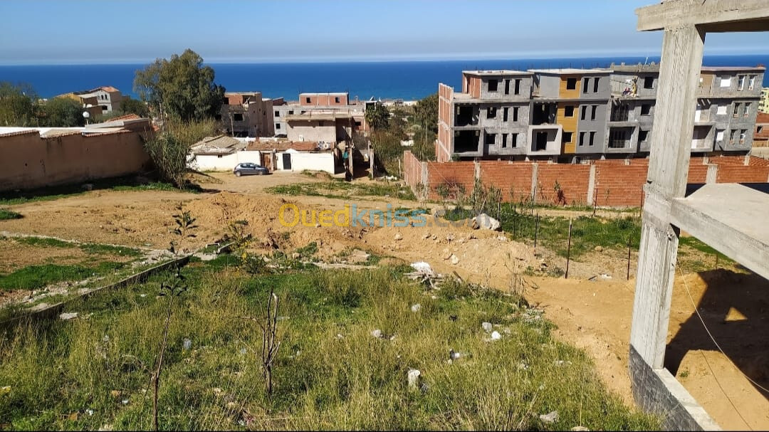 Vente Terrain Tipaza Fouka