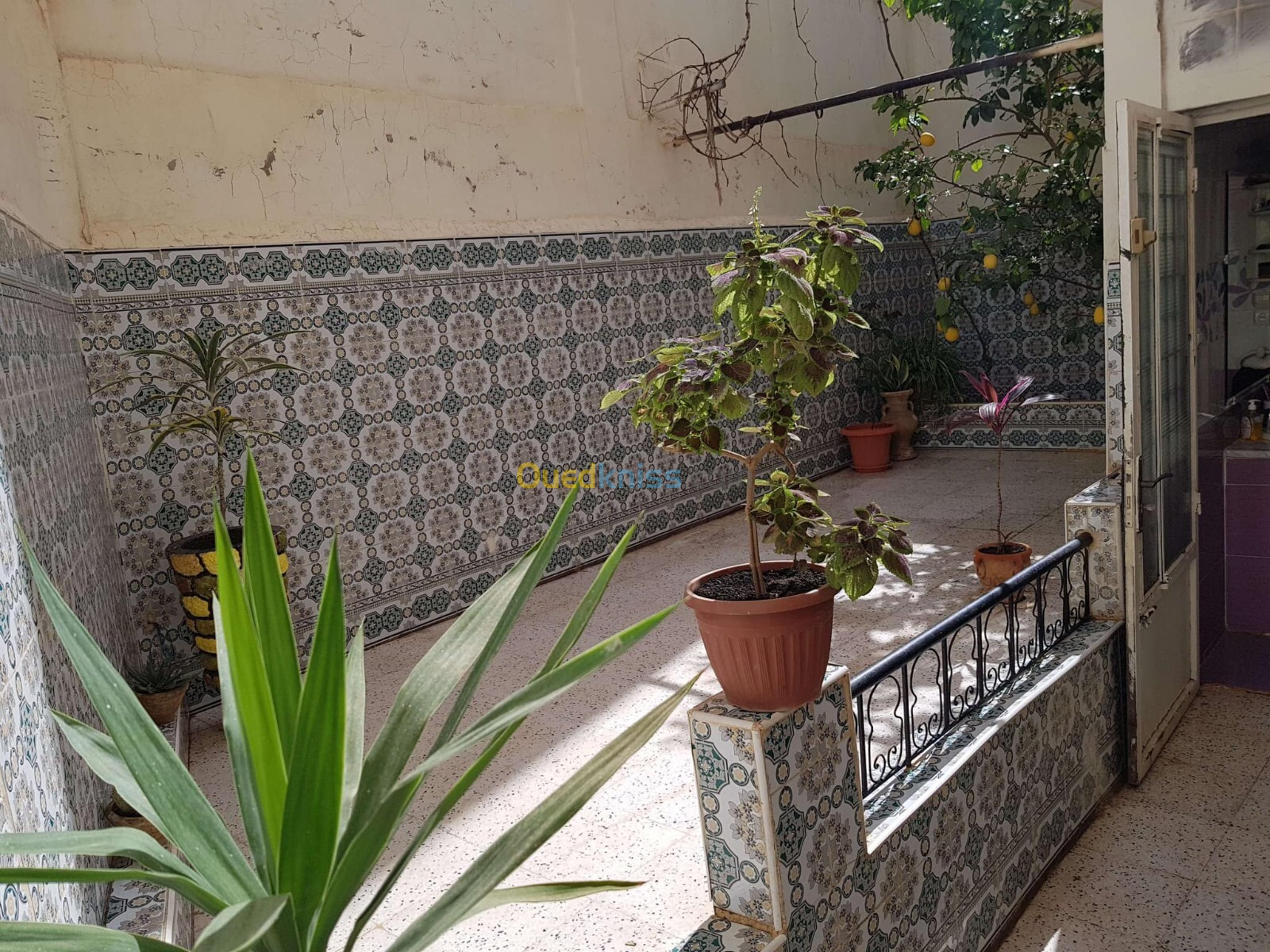 Vente Villa Tlemcen Chetouane