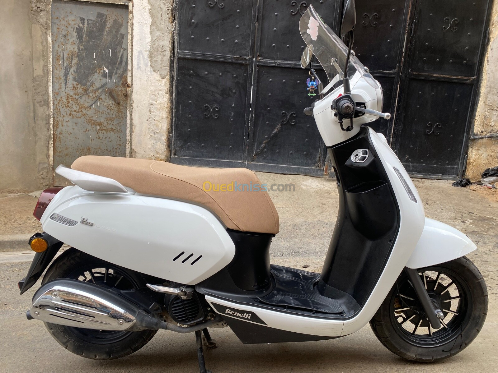 Benelli Panarea 2023