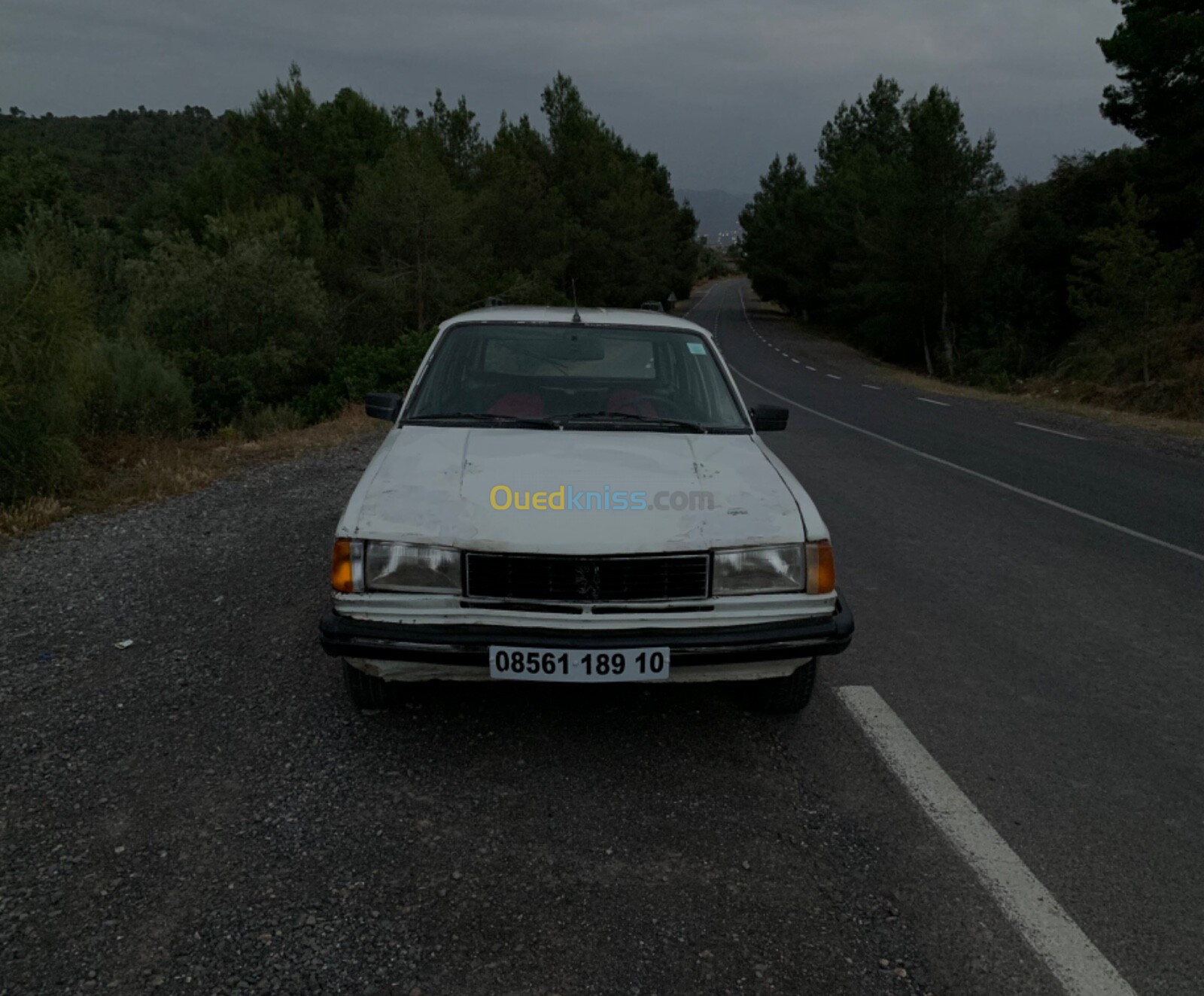 Peugeot 305 1989 