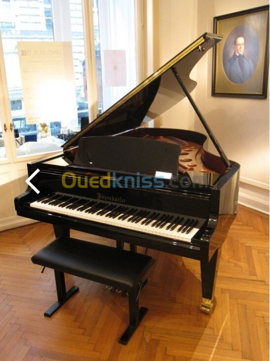 Professeur de musique, cours de piano, violon et guitare