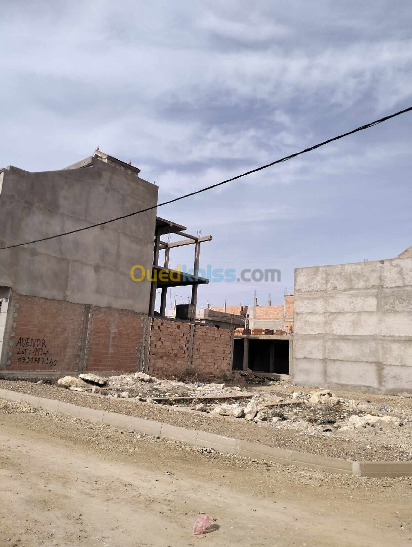 Vente Terrain Aïn Témouchent Hammam bouhadjar