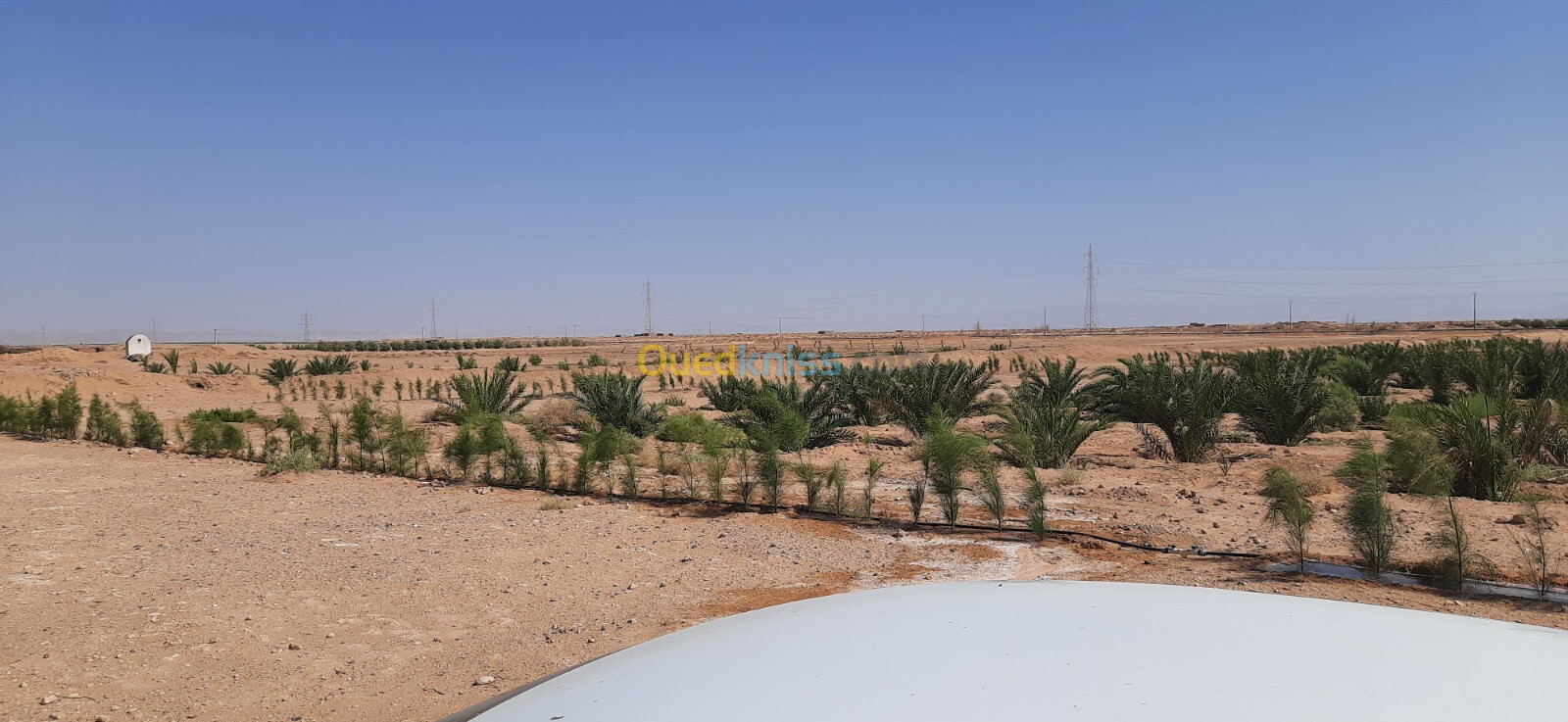 Vente Terrain Agricole Biskra Oumache