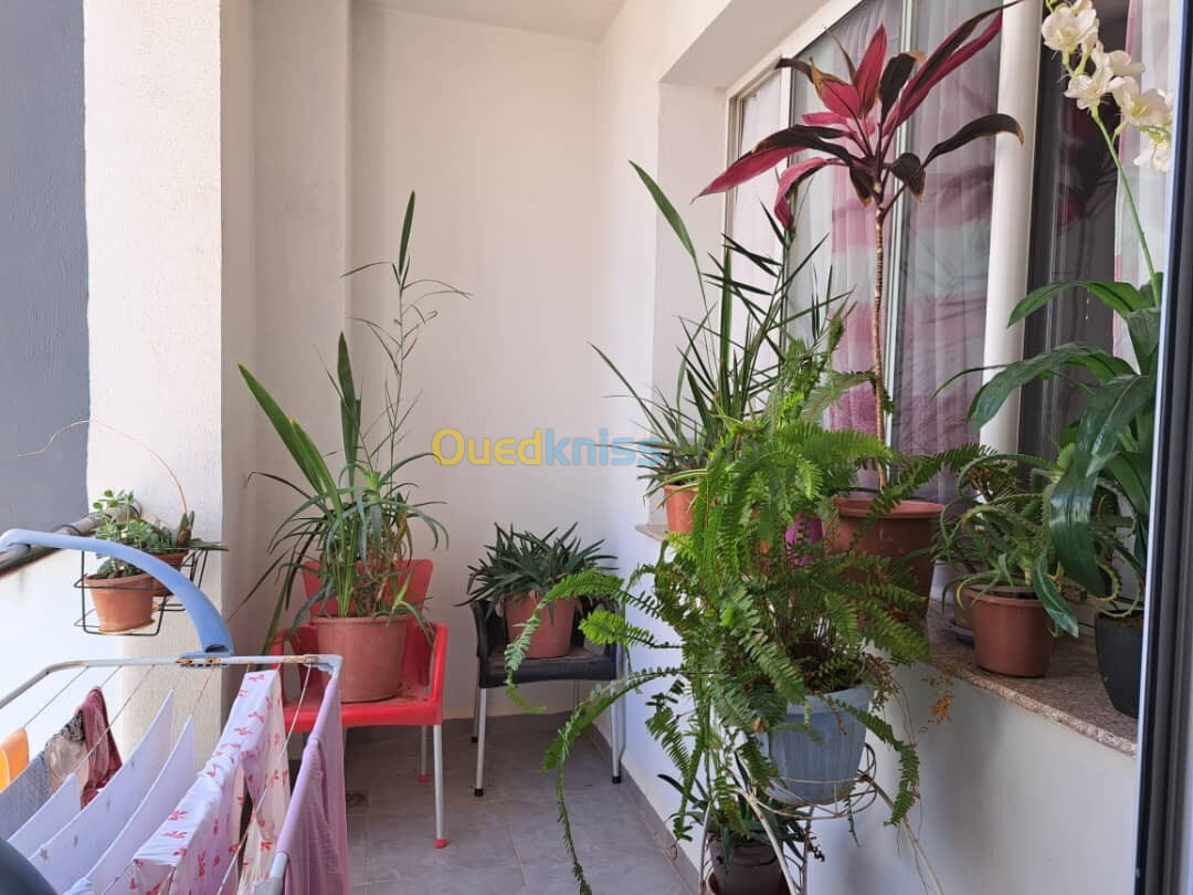 Location Appartement F4 Alger Birkhadem