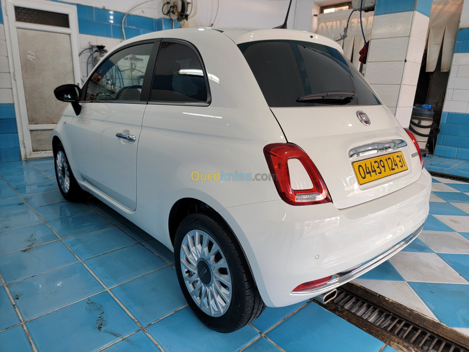 Fiat 500 2024 Clubs