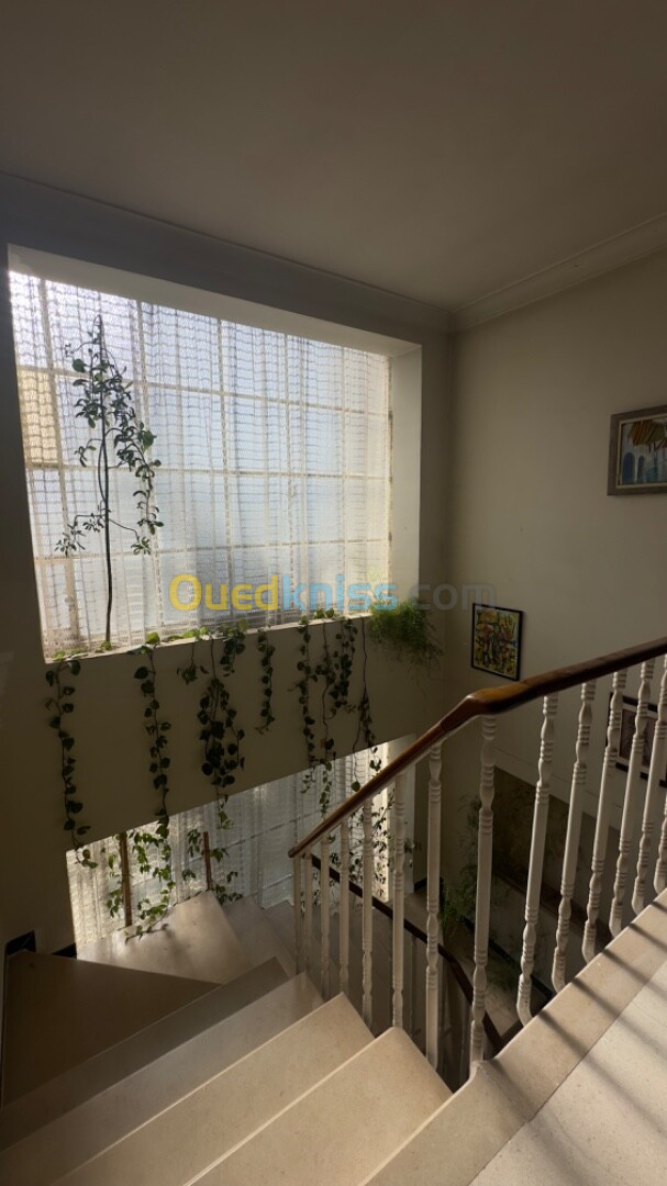 Vente Duplex F7 Alger Said hamdine