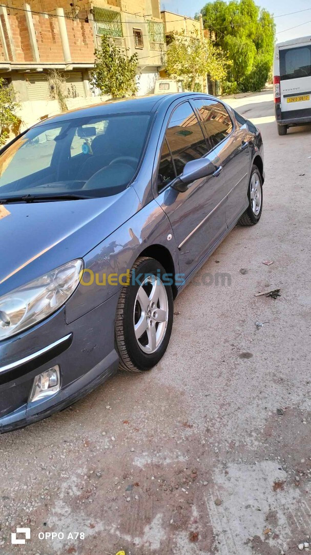 Peugeot 407 2005 407