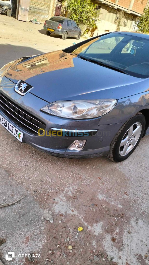 Peugeot 407 2005 407