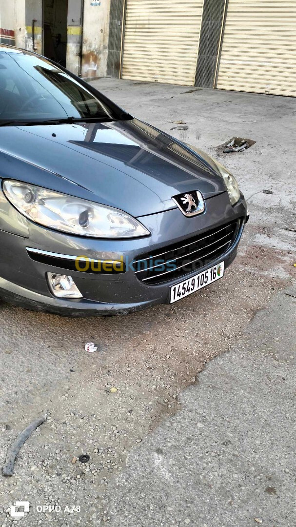 Peugeot 407 2005 407