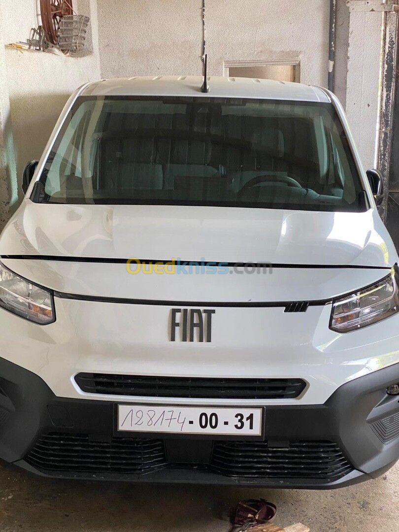 Fiat Doblo 2024 Professional