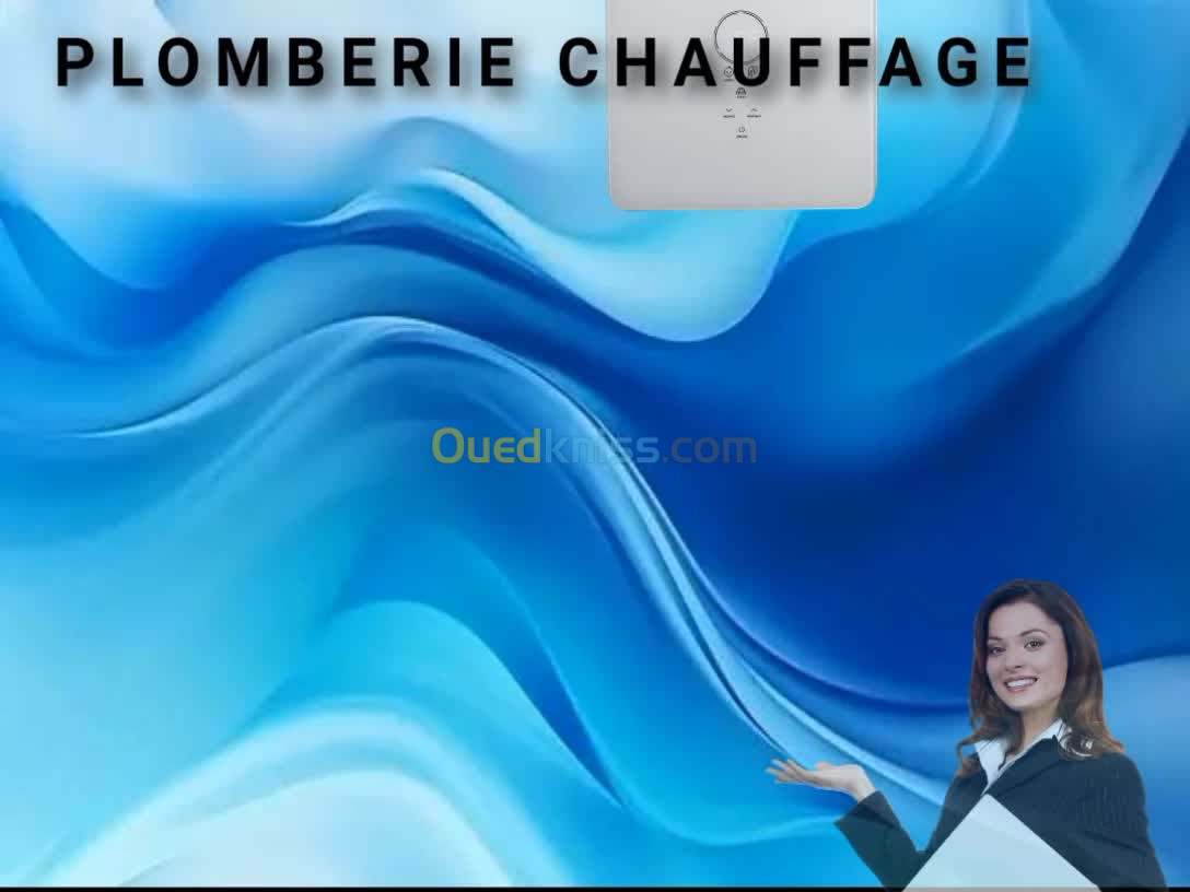 Chauffe eau à gaz avec ventouse energical 12L