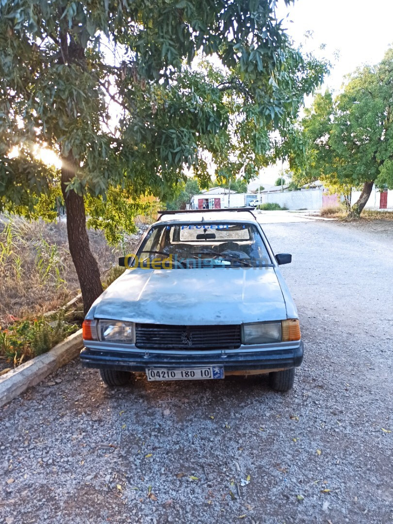 Peugeot 305 1980 Break